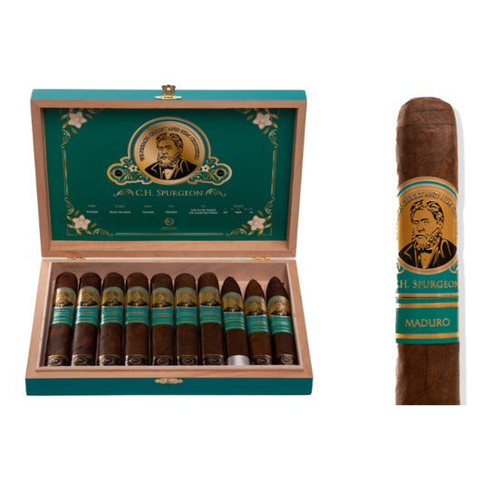 SPURGEON TEAL MADURO BOX-PRESSED